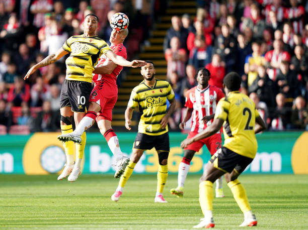 摩纳哥的医 摩纳哥的医